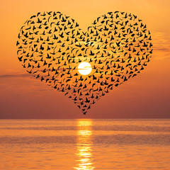 Beautiful sunset with birds flock in heart shape above sea