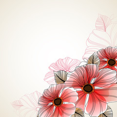 Beautiful floral background of anemone