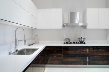 Fototapeta na wymiar Modern kitchen interior and furniture