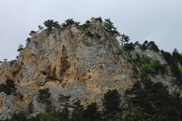 Slope of Gebirgsvereinssteig, Hohe Wand, Austria