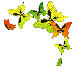 butterflies design