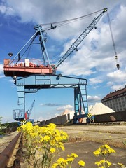 silhouette of cranes at the docks