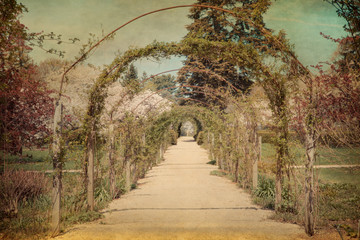 Vintage tone and textured image of garden archway
