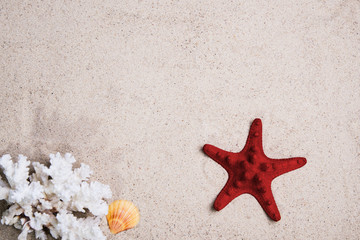 Fototapeta na wymiar Starfish with coral on the Beach sand