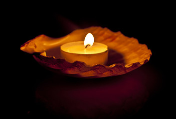 Small candle burning in a scallop shell, table decoration