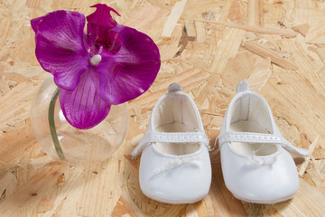 Baby card, concept of new born baby with shoes