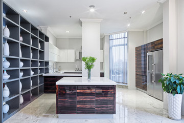 Modern kitchen interior and furniture