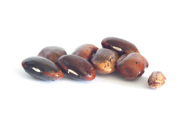 pinto beans big