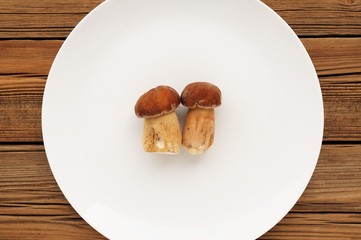 Two wild porcini mushrooms lying on large white plate copyspace