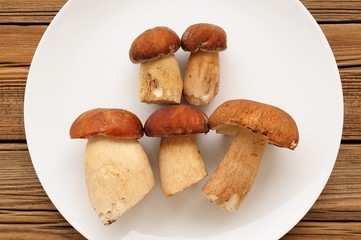 Wild porcini mushrooms lying on white plate on wooden background