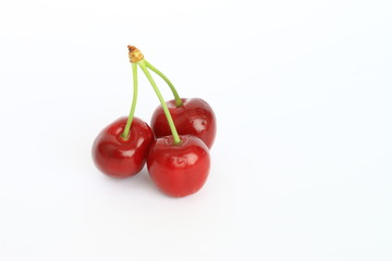 isolated cherry on white