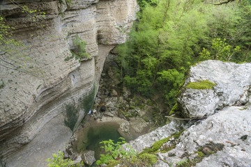 gorge in Abkhazia