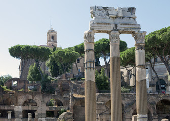 Fototapeta na wymiar Italy. Rome. Ruins of an antique temple of Venus
