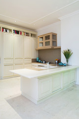 Modern kitchen interior and furniture