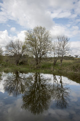 View of a beautiful scenic landscape of a fresh stream of water in the Alentejo, Portugal.