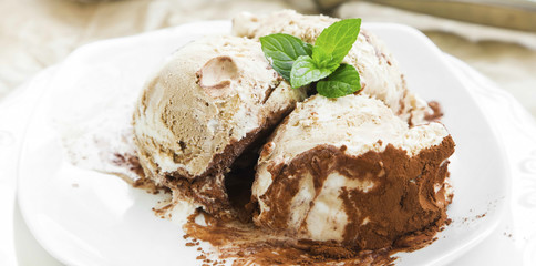 Tiramisu Icecream Closeup with Mint in Dessert Plate