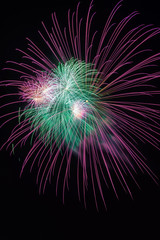 Green and violet colorful fireworks in black background