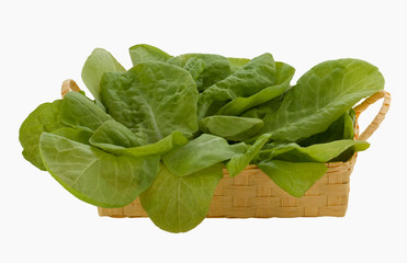 Fresh green lettuce leaves in a basket