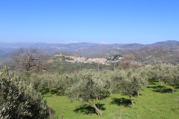 Old City, Martirano Lombardo, Calabria, South Italy