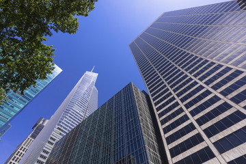 アメリカ通りの近代ビル群