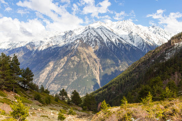 Obraz premium mountain view