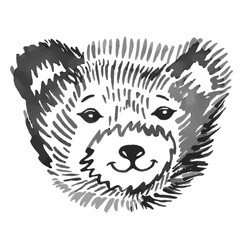 Bear's smiling snout pattern