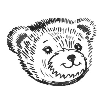 Bear's smiling snout pattern