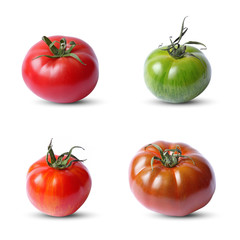 Tomates variétés anciennes