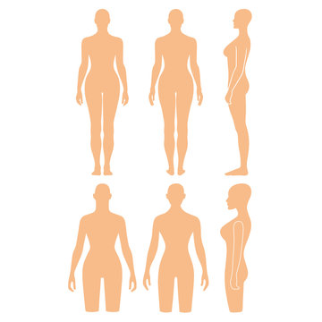 Woman mannequin outlined silhouette torso
