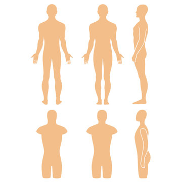 Male mannequin outlined silhouette torso
