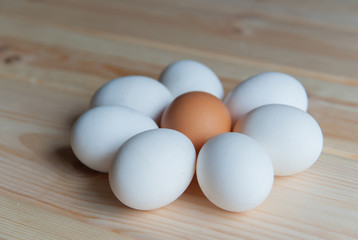 fresh eggs