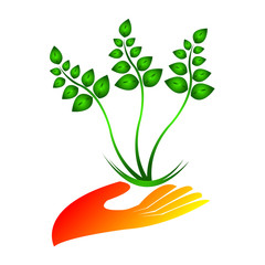 Eco save plant design isolated on white background.