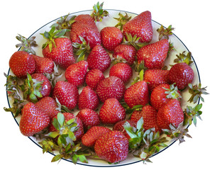 Bunch of fresh spring Strawberries in white Porcelain Plate.