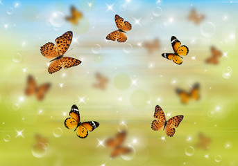 Butterflies 3D