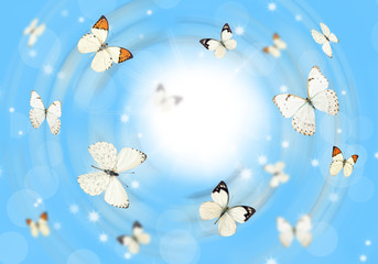 Butterflies 3D