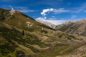 Mountain Valley (Summer) - Korowai/Torlesse Tussocklands Park