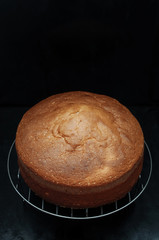Classic Sponge Cake