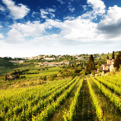 Fototapeta na wymiar Tuscany 