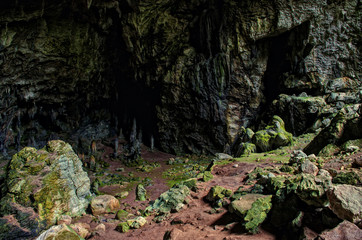 cave with moss and lichen covered rocks