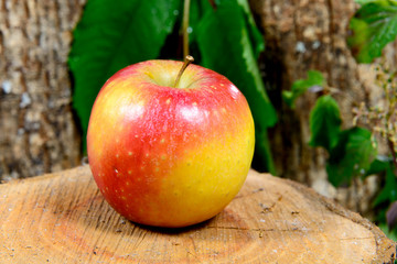 apple on a piece of wood