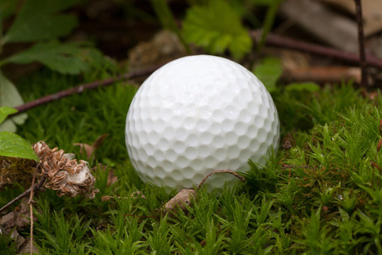 Lost Golf Ball Is Lying In Moss.