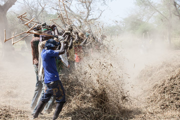 Peanut pickers