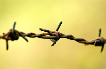 Very rusty barbed wire