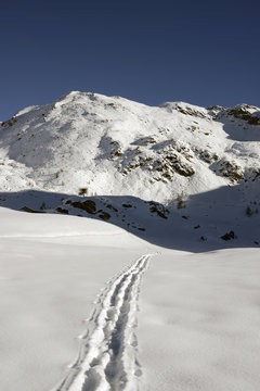 Way to the mountains