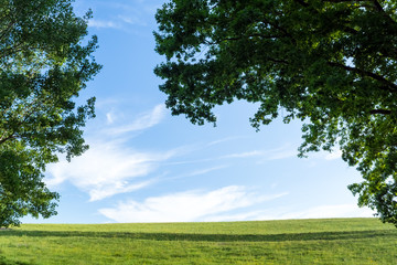Meadow with sky and clouds