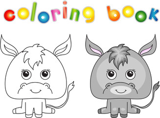 Funny and cute donkey