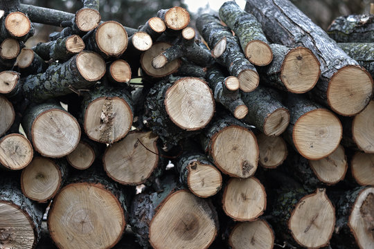 Chopped Wood