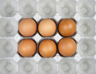 Six eggs in paper tray