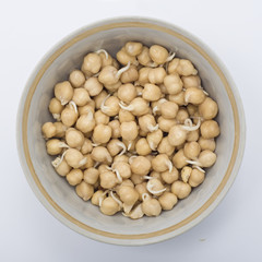 chick-pea, the raw food diet