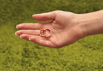 Delicate field in female hands with a wedding ring.